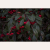 maliny 2 (2).png
